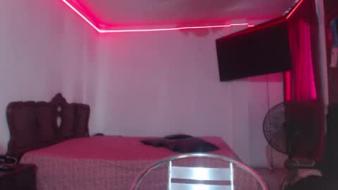 Snapshot of aliceesmiths chatting on 12.15.24 aliceesmiths online show from 12.15.24