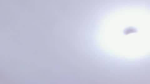  ALICEKIING online show from 02.17.25