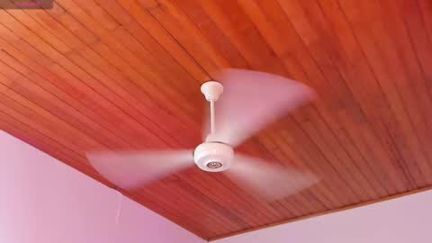  ALICEKIING online show from 12.16.25