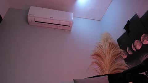 Snapshot of alicepoixxxon chatting on 01.15.26 ALICE online show from 01.15.26