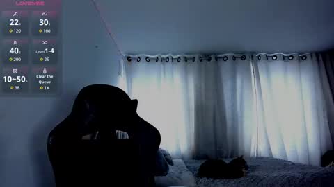 Snapshot of aliice_walker_ chatting on 02.19.26 aliice_walker_ online show from 02.19.26