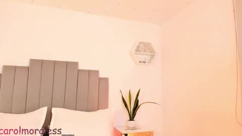 Snapshot of alisa_walton chatting on 11.30.25 ALIS online show from 11.30.25