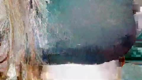 alisesexydoll777 online show from 12.25.24