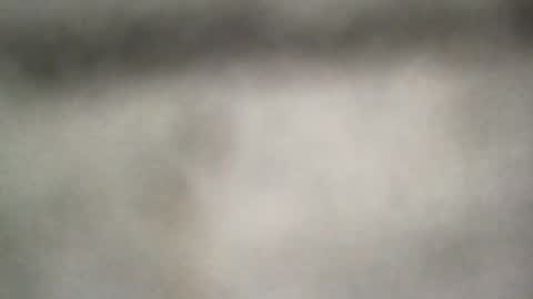 all_most_sane online show from 06.25.26