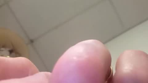 Snapshot of alldickandass11 chatting on 02.14.26 alldickandass11 online show from 02.14.26