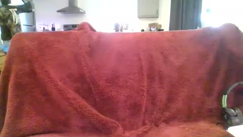 alliebearx online show from 03.03.25