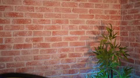 Allie online show from 12.21.24