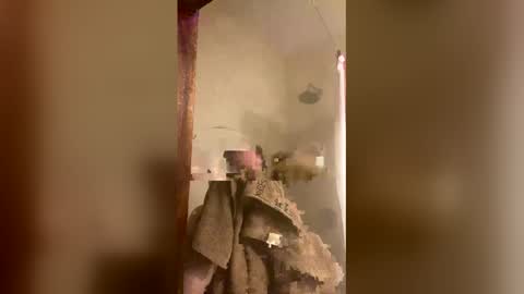 allisonlove2 online show from 04.09.26