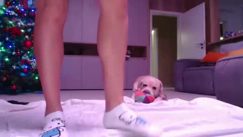 allissonhotbb online show from 12.15.24