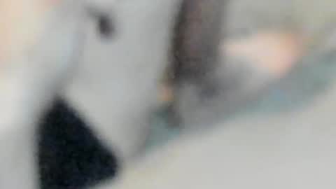 Snapshot of allways395 chatting on 10.25.25 allways395 online show from 10.25.25