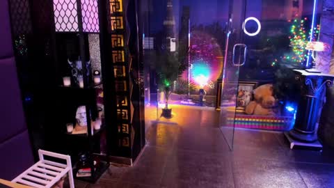 Alma online show from 02.28.26