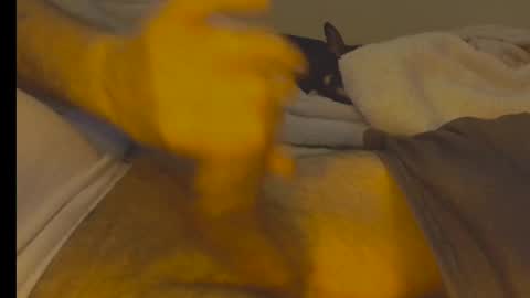 Snapshot of alphablue_wolf1295 chatting on 01.02.25 alphablue_wolf1295 online show from 01.02.25