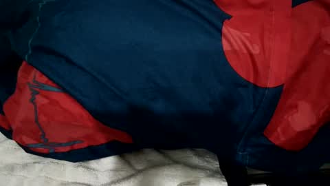 amadeusz online show from 12.22.24