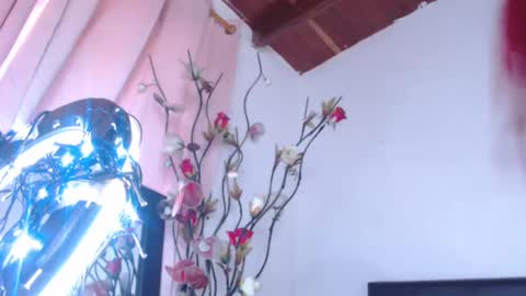   online show from 02.19.25