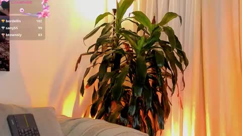 Snapshot of amatistahot1 chatting on 11.01.25 Amatista online show from 11.01.25