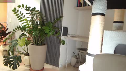 Ambar online show from 01.22.25