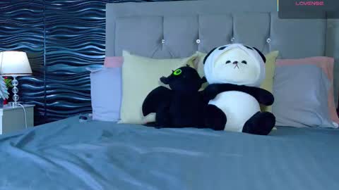 Snapshot of amber_bull chatting on 11.27.25 amber_bull online show from 11.27.25