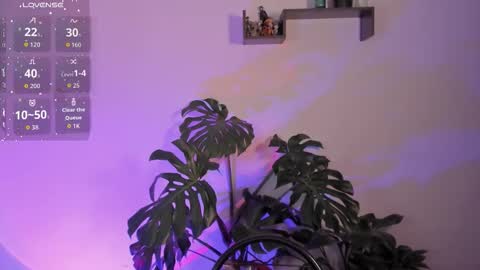 Snapshot of amber_rosewood_ chatting on 01.12.26 Vivi online show from 01.12.26