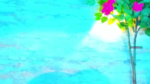  AMELIA.  online show from 10.01.25