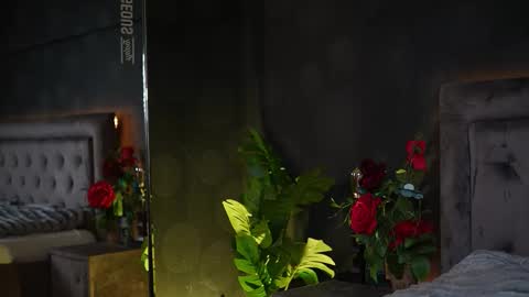  Amelia  online show from 11.20.25