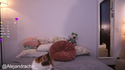 Snapshot of amelie_leigh chatting on 05.22.26 Alejandra online show from 05.22.26