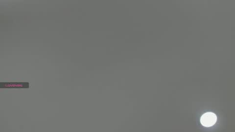 Amber online show from 12.04.25