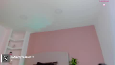 AMMY online show from 03.19.26