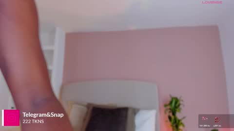 AMMY online show from 03.20.26