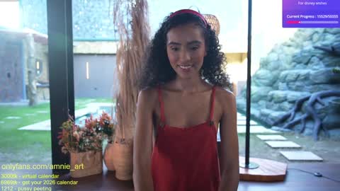 Snapshot of amnie_ chatting on 11.23.25 RETURN 30TH 100 explicit on online show from 11.23.25