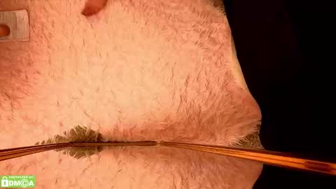 Amora Moore online show from 01.17.26