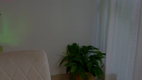 anabelcurvy online show from 05.13.26