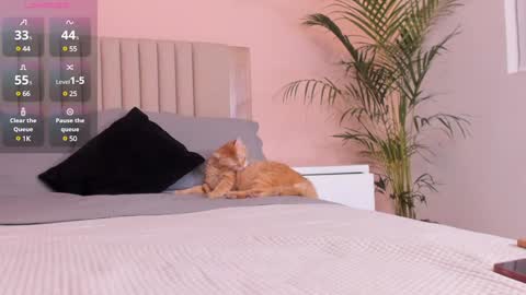 Ana Henao or Annie... Follow me ahenaocb Insta  X online show from 02.01.25