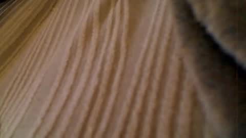 Snapshot of anaiserebel chatting on 01.15.26 anaiserebel online show from 01.15.26