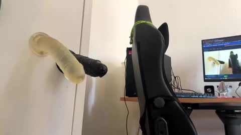 analass_ online show from 09.20.25