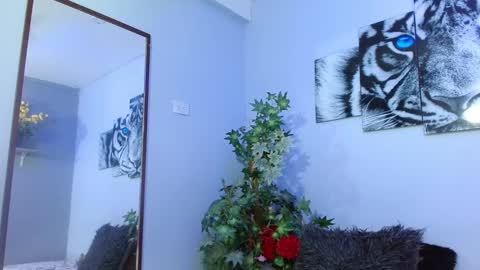 Analia online show from 02.08.25