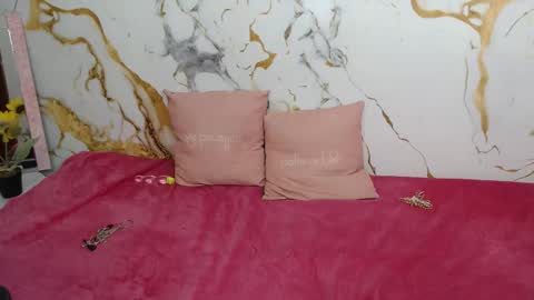 analiz_ online show from 02.05.26