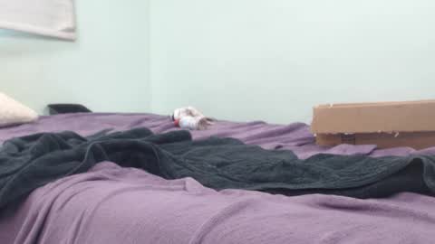 AnalKing online show from 10.14.25