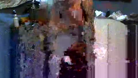 Snapshot of analwhore666 chatting on 02.16.25 kinkylilanalslut online show from 02.16.25