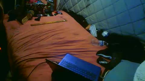 Snapshot of analwhore666 chatting on 10.18.25 kinkylilanalslut online show from 10.18.25