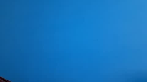 And 16.8 online show from 11.21.25