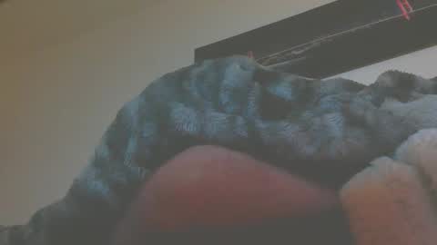 Snapshot of andionline chatting on 03.05.26 andreas online show from 03.05.26