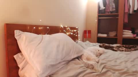 Andra online show from 12.24.24