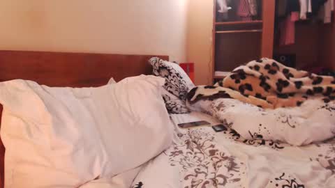 Andra online show from 01.27.25