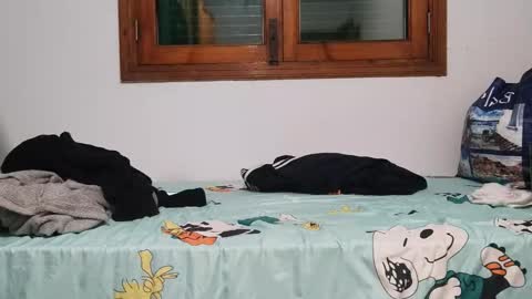 Andreu online show from 12.01.24