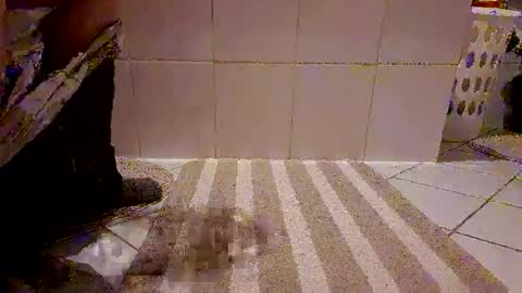 Snapshot of andris40 chatting on 02.08.26 andris40 online show from 02.08.26