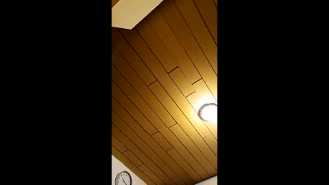 Snapshot of andris40 chatting on 03.22.26 andris40 online show from 03.22.26