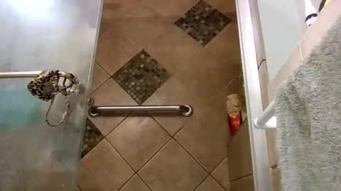 andywan94 online show from 02.07.25