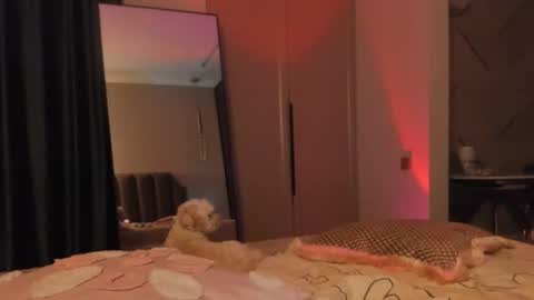 angel_andreww online show from 05.27.26