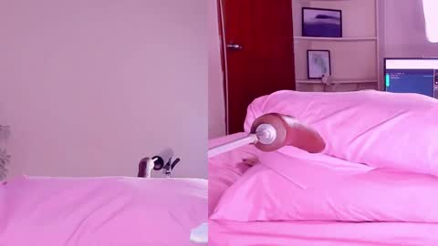 Snapshot of angeli__wu chatting on 02.18.25 Angeli online show from 02.18.25