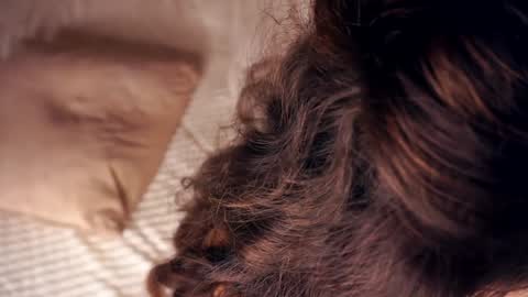 Angelica online show from 01.20.25